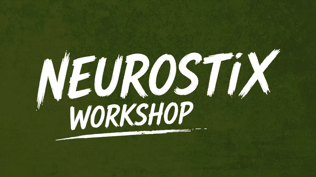 NeuroStiX Workshop