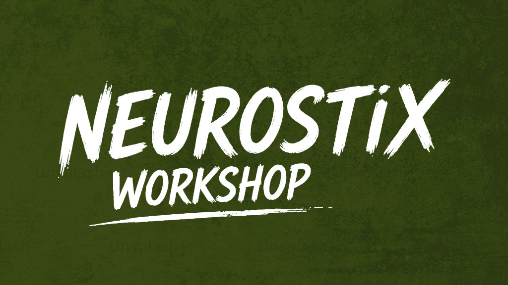 NeuroStiX Workshop